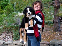 Bernese Mountain Dog puppy Elisa just arrived September 2015