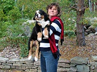 Bernese Mountain Dog puppy Elisa just arrived September 2015