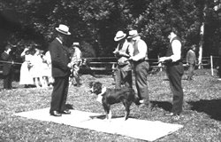 Bernese Mountain Dog Kennel Nova Scotia Canada historical photo