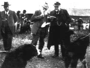 Bernese Mountain Dog historical photo exhibition Berna 1904