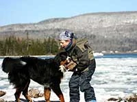 Bernese Moutain Dog Moritz and Max playing on the shore of Bras D'Or Lake