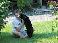 Bernese Mountain Dog puppy playing