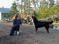 our first Bernese Mountain Dog Elsa is singing
